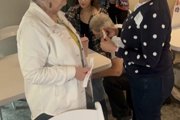 Bell County Texas Democratic Women