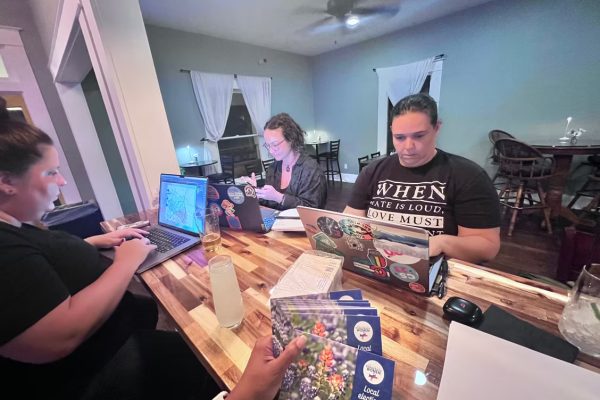 Bell County Texas Democratic Women