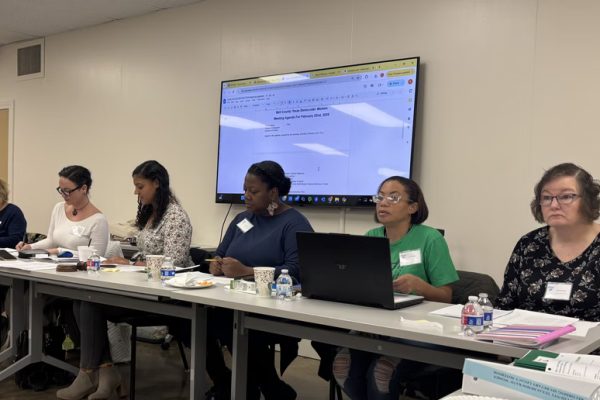 Bell County Texas Democratic Women