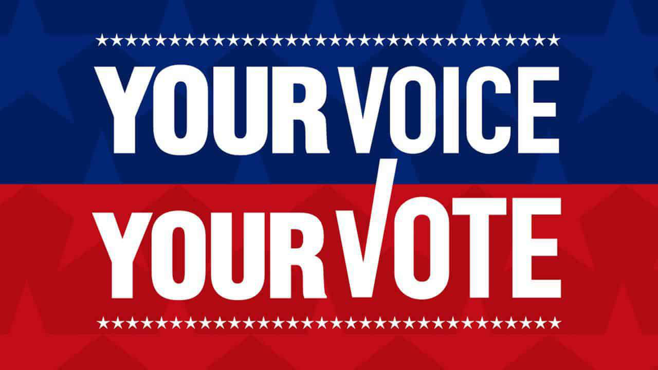 Your Voice is Your Vote